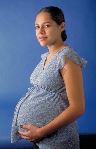 389px-PregnantWoman.jpg