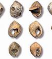 河北出土2000件文物 含旧石器时代鸵鸟蛋壳串珠
