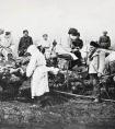 1910年的东北鼠疫有多严重，多少人因此丧命？它又是如何被消灭